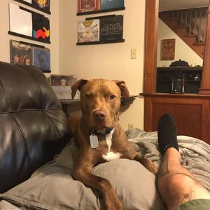 Meet your Posher, Rick